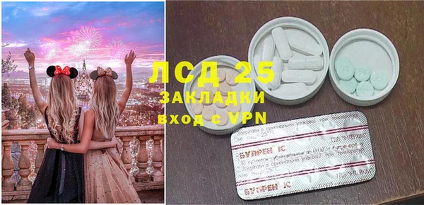 PSILOCYBIN Алзамай