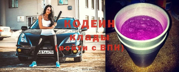 PSILOCYBIN Алзамай