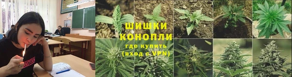 PSILOCYBIN Алзамай