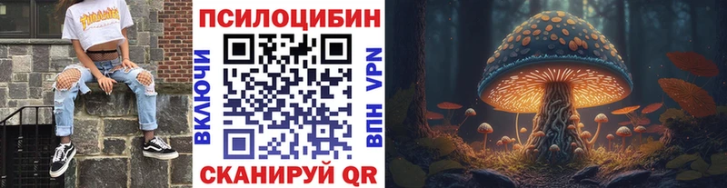 Псилоцибиновые грибы Psilocybine cubensis  ОМГ ОМГ tor  Заинск 